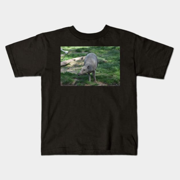 Babirusa Kids T-Shirt by MarieDarcy